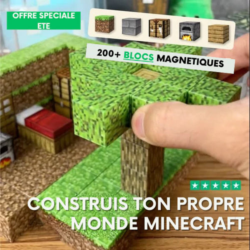 Et si ton enfant construisait SON monde pixelisé... sans écran ?